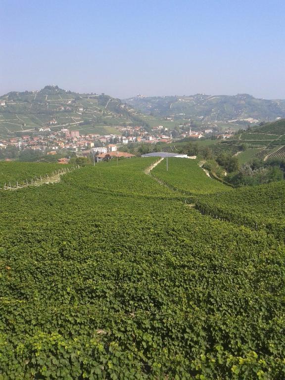 Agriturismo Ai Piacentini Santo Stefano Belbo Exteriör bild
