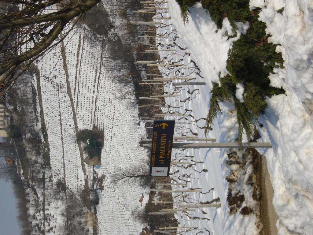 Agriturismo Ai Piacentini Santo Stefano Belbo Exteriör bild