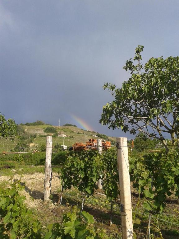 Agriturismo Ai Piacentini Santo Stefano Belbo Exteriör bild